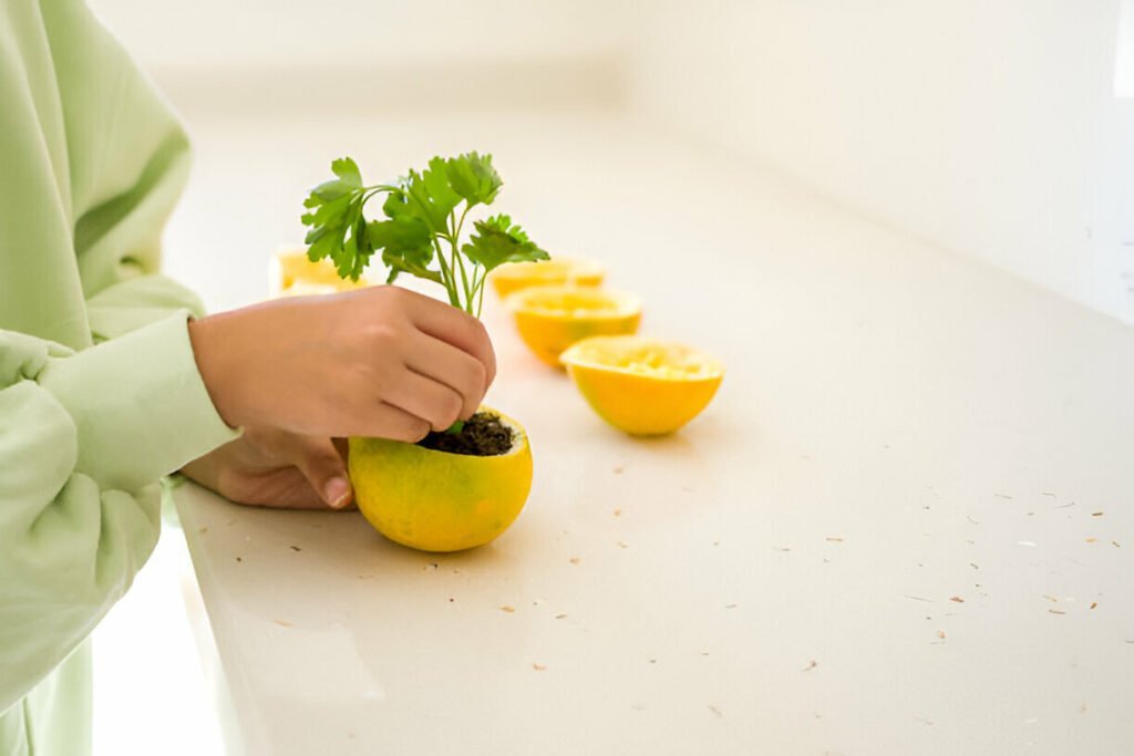 orange peels in the garden