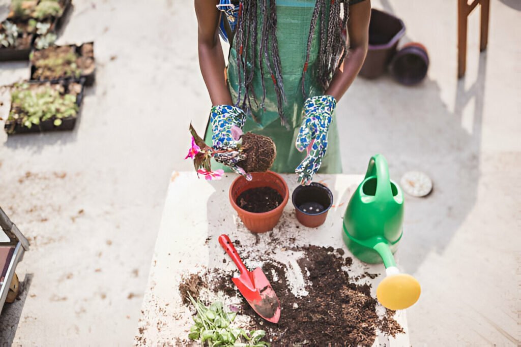 repotting houseplants